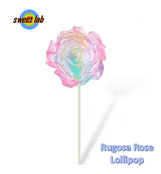 Lollipop-Rugosa Rose